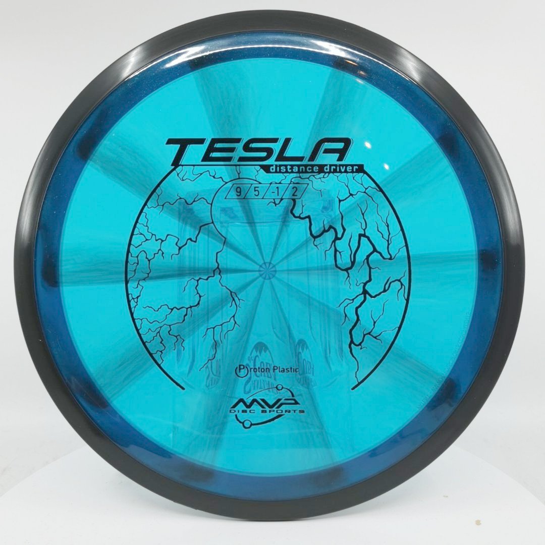 20254